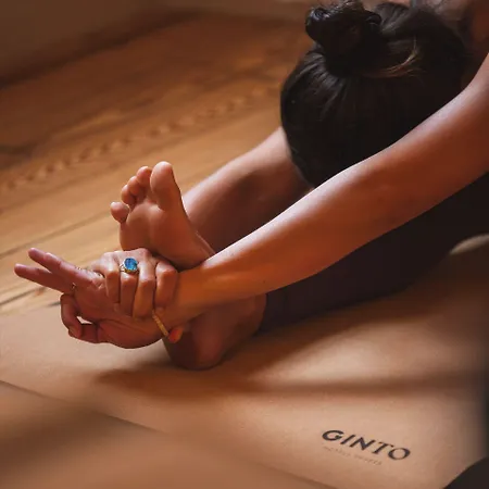 Saint Julien 3* Biarritz